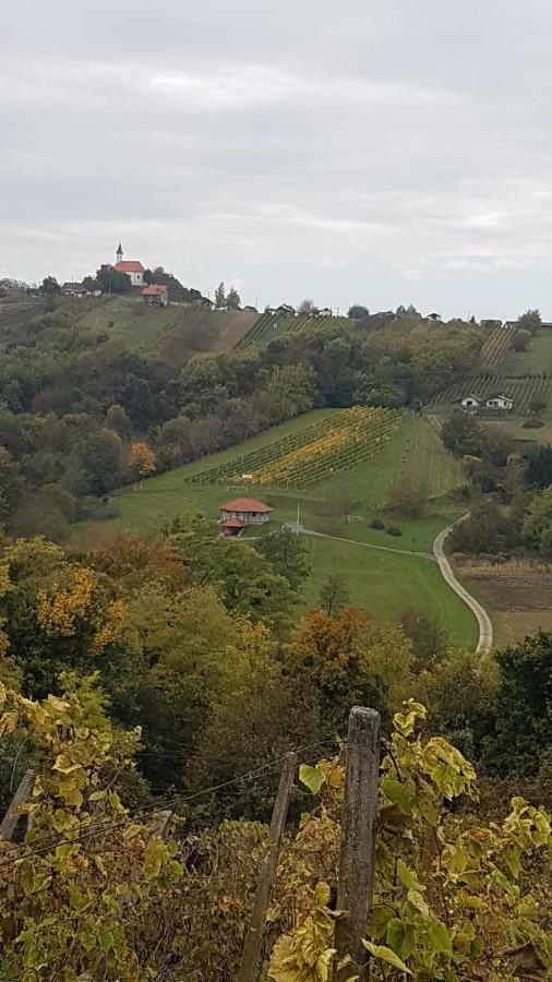 Kuca Za Odmor Nina Villa Sveti Martin Na Muri Exterior foto